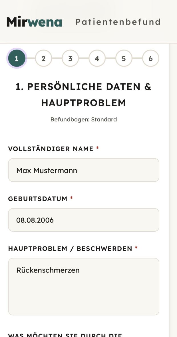 Schritt 1 des Befundbogens auf einem Handy: Fortschrittsleiste mit sechs Schritten, darunter die ausgefüllten Felder Name, Geburtsdatum und Hauptproblem.